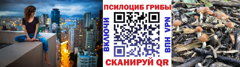 Галлюциногенные грибы Psilocybe Купить закладки Волжск